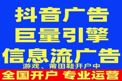 SEM搜索引擎优化策略解析与应用案例